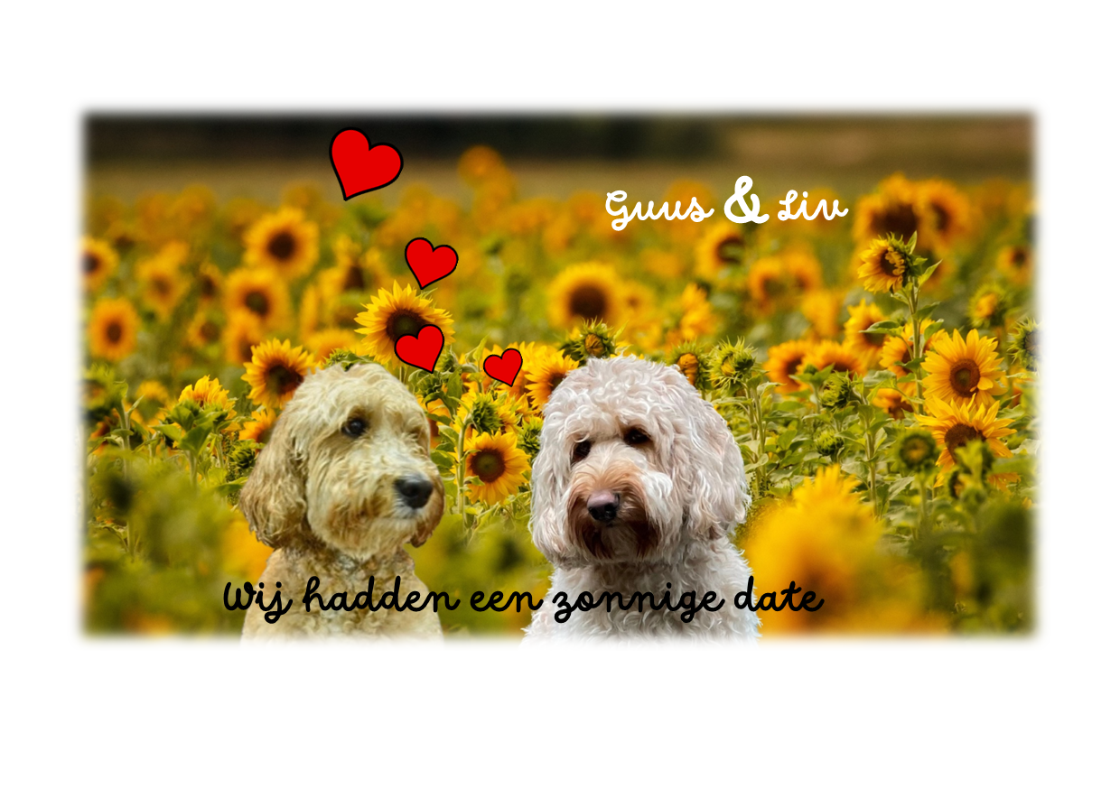 Guus en Liv 1